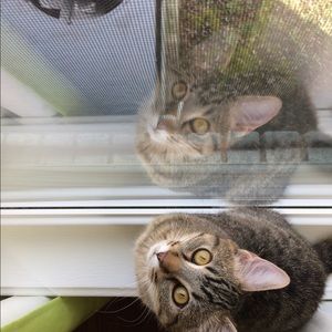 Meet your Posher, Lily